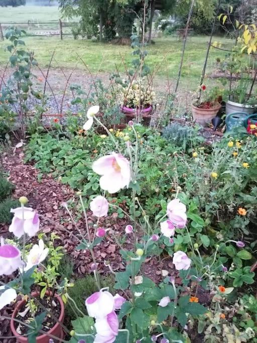 Les Hortensias La Souris Des Champs Étival-Clairefontaine Εξωτερικό φωτογραφία