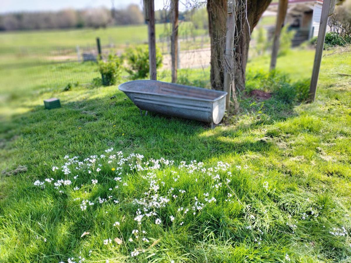 Les Hortensias La Souris Des Champs Étival-Clairefontaine Εξωτερικό φωτογραφία